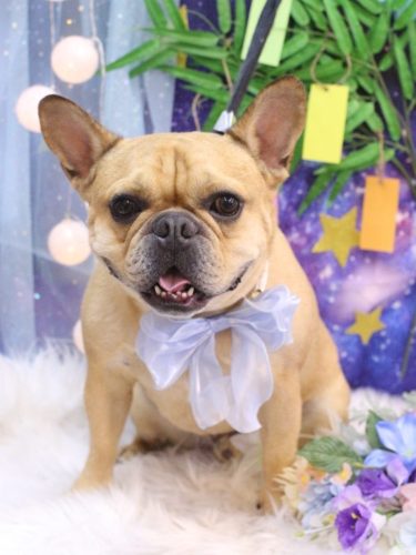 20250708力也くん